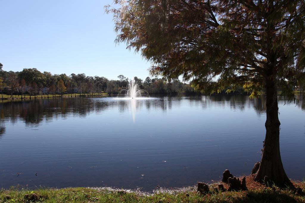 Sherwood Forest Cottage 6 Kissimmee Dış mekan fotoğraf